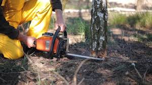 Lawn Watering Services in St James, MN